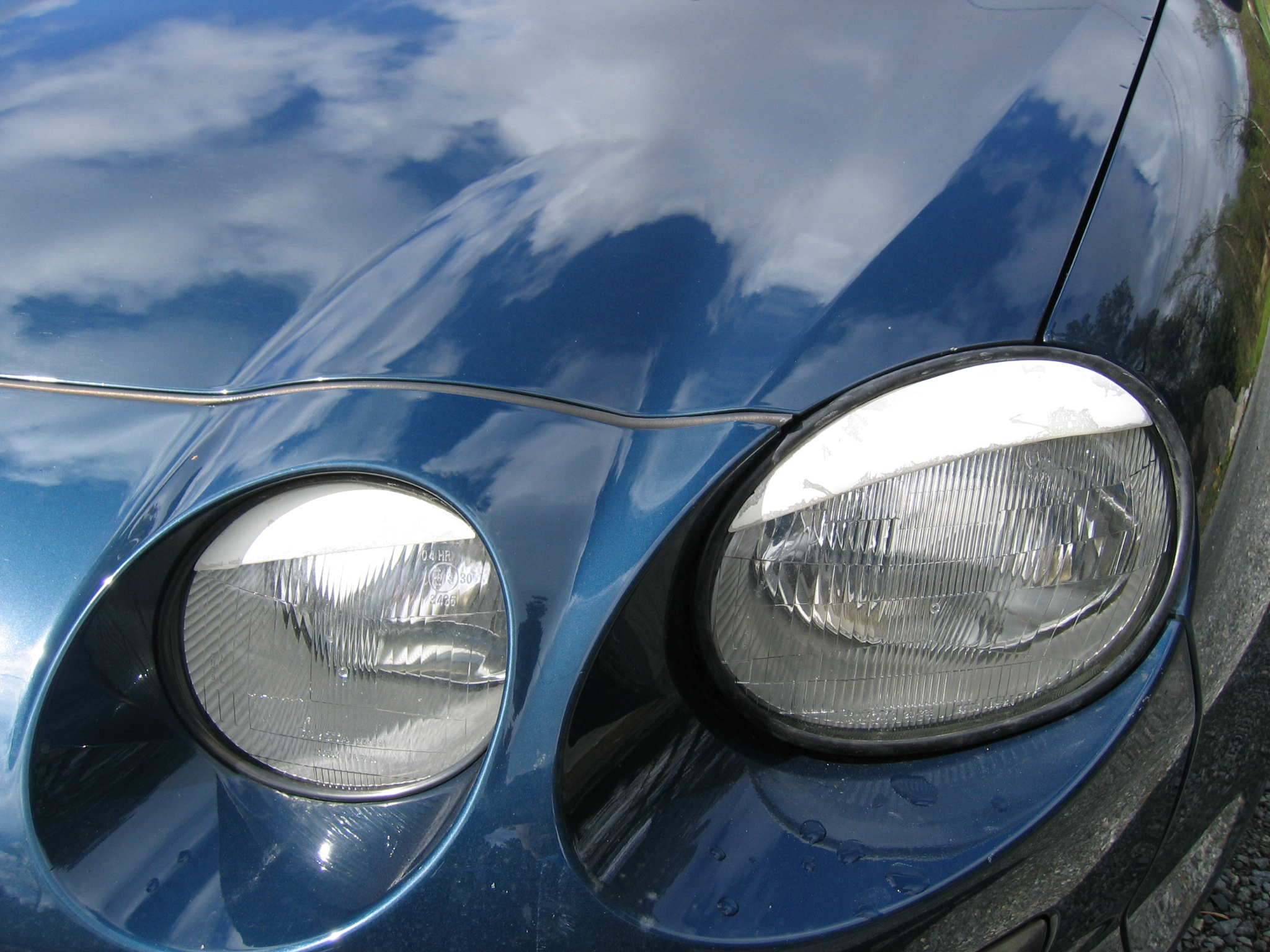 konf. bjørn 004.jpg