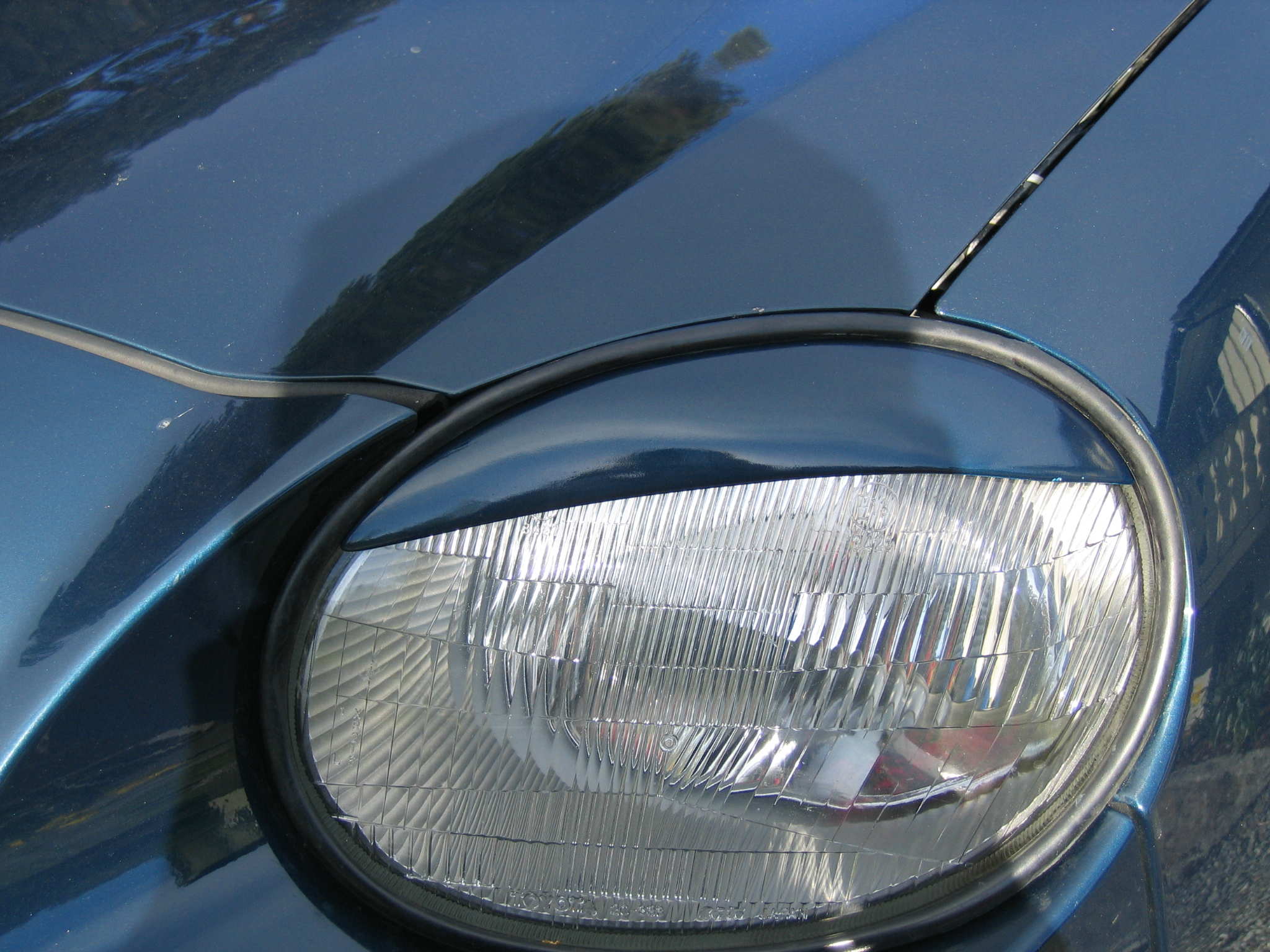 konf. bjørn 099.jpg