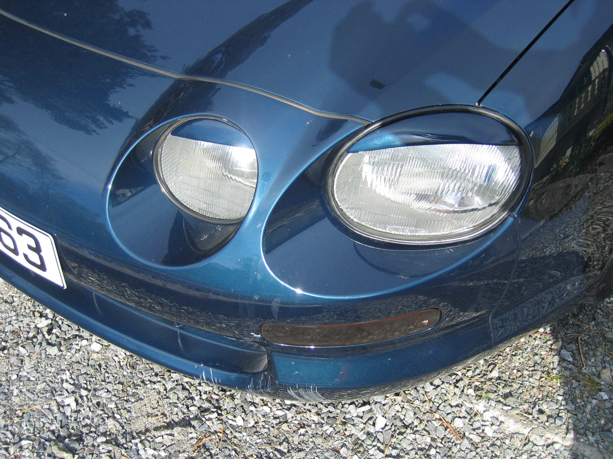 konf. bjørn 098.jpg