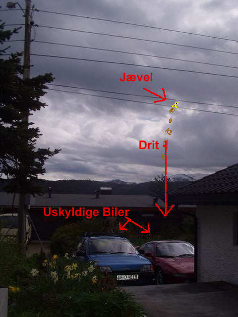 Hendelsesforløpet slik det utarter seg 24 timer i døgnet.....