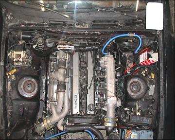 Supra 220.jpg