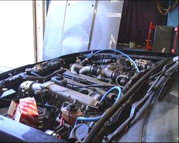 Supra 265.jpg