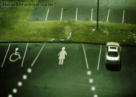 femaleparking.gif