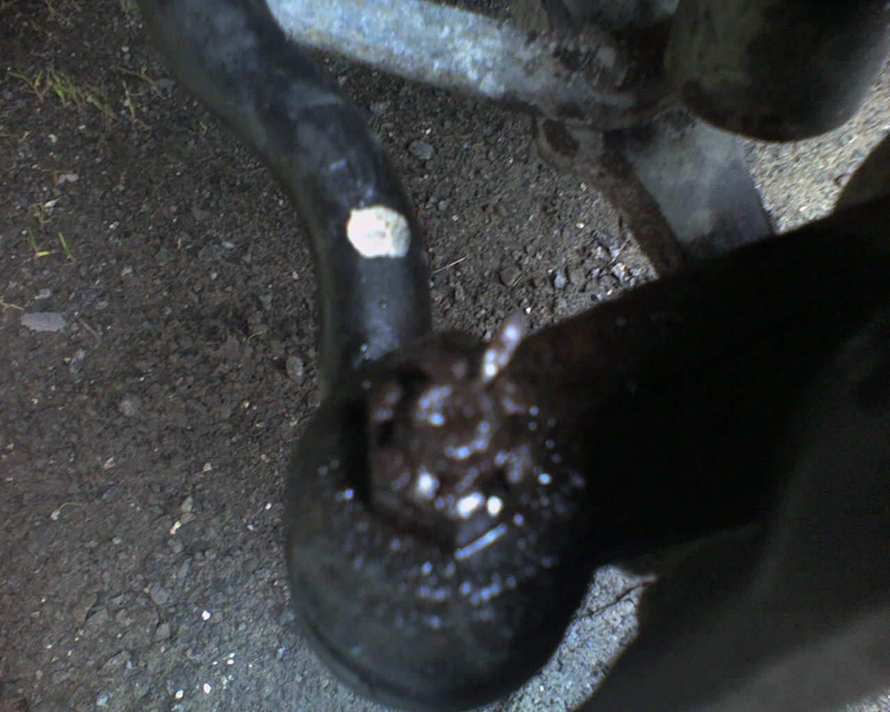 Litt dårlig fokus men.. Hadde bare mobilen