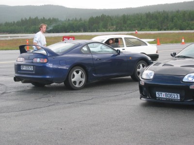 lilla_supra_3.jpg