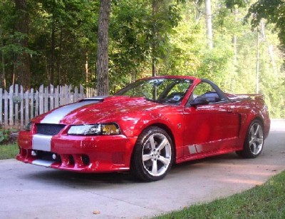 Mustang.jpg