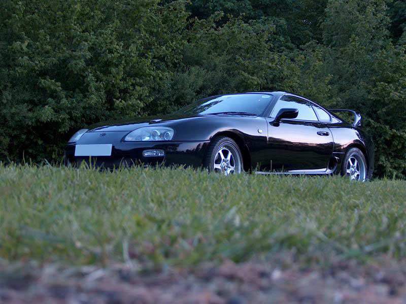 HPIM0754 (Medium).JPG