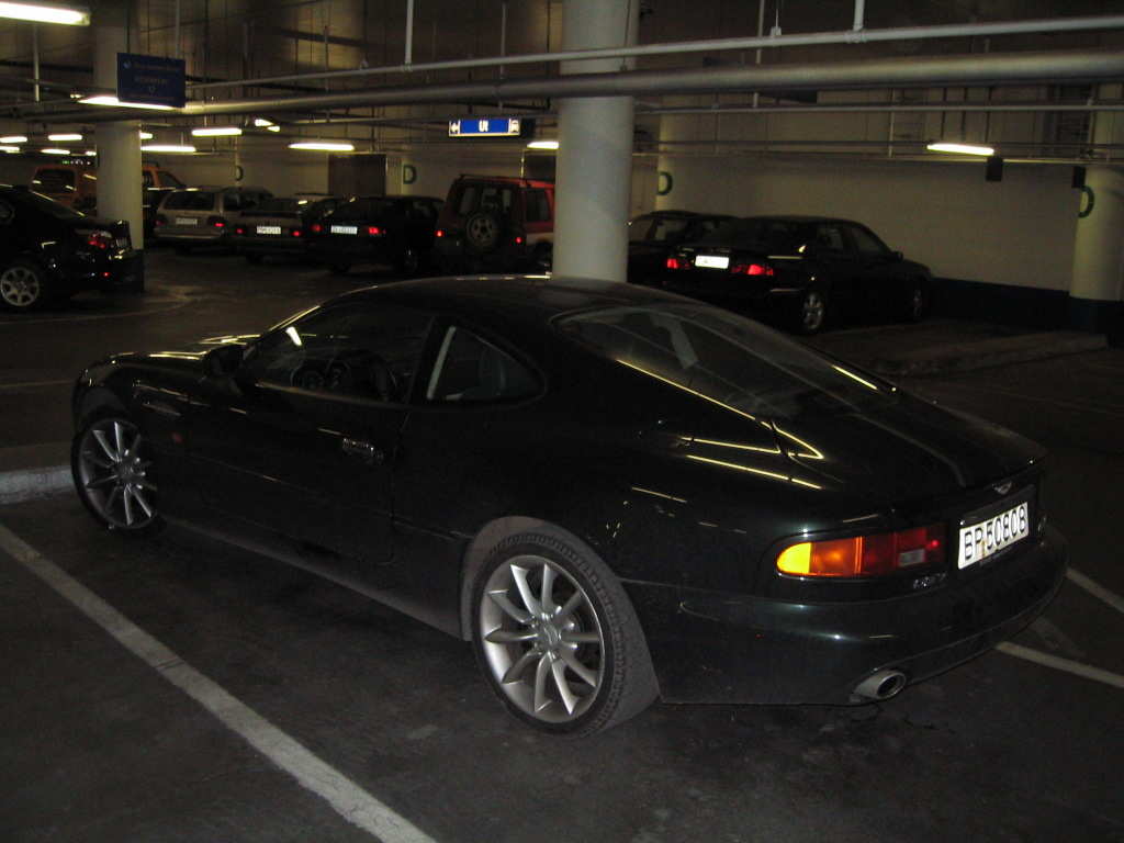 IMG_1529.jpg