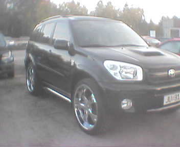 rav44.jpg