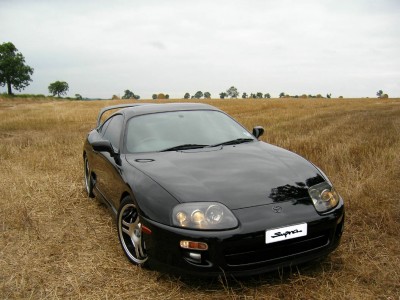 millers-cornfield.jpg