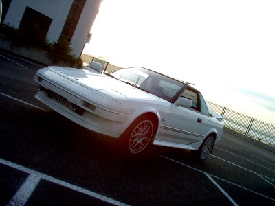 Mr234.jpg