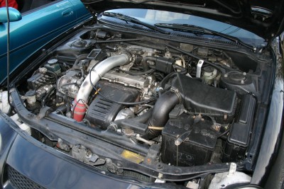 IMG_3882 copy.jpg