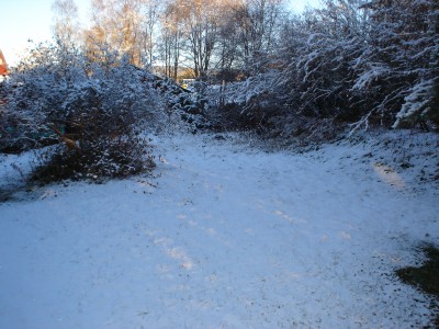 DSC00574.JPG