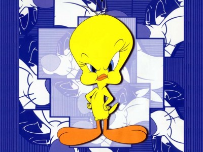 Titi 07.jpg