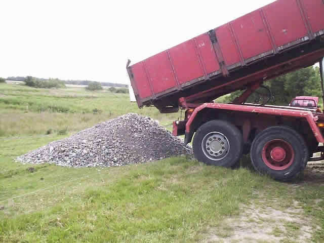 Grus.jpg