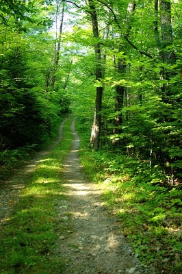 20040717_170218.jpg