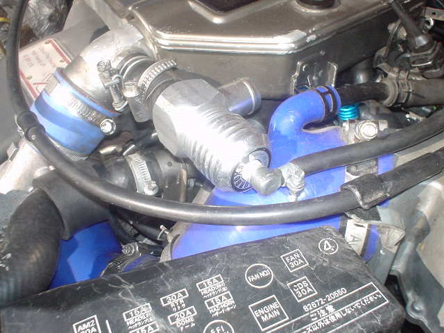 høst bilder 014.jpg