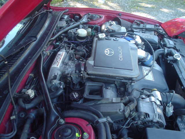 høst bilder 044.jpg