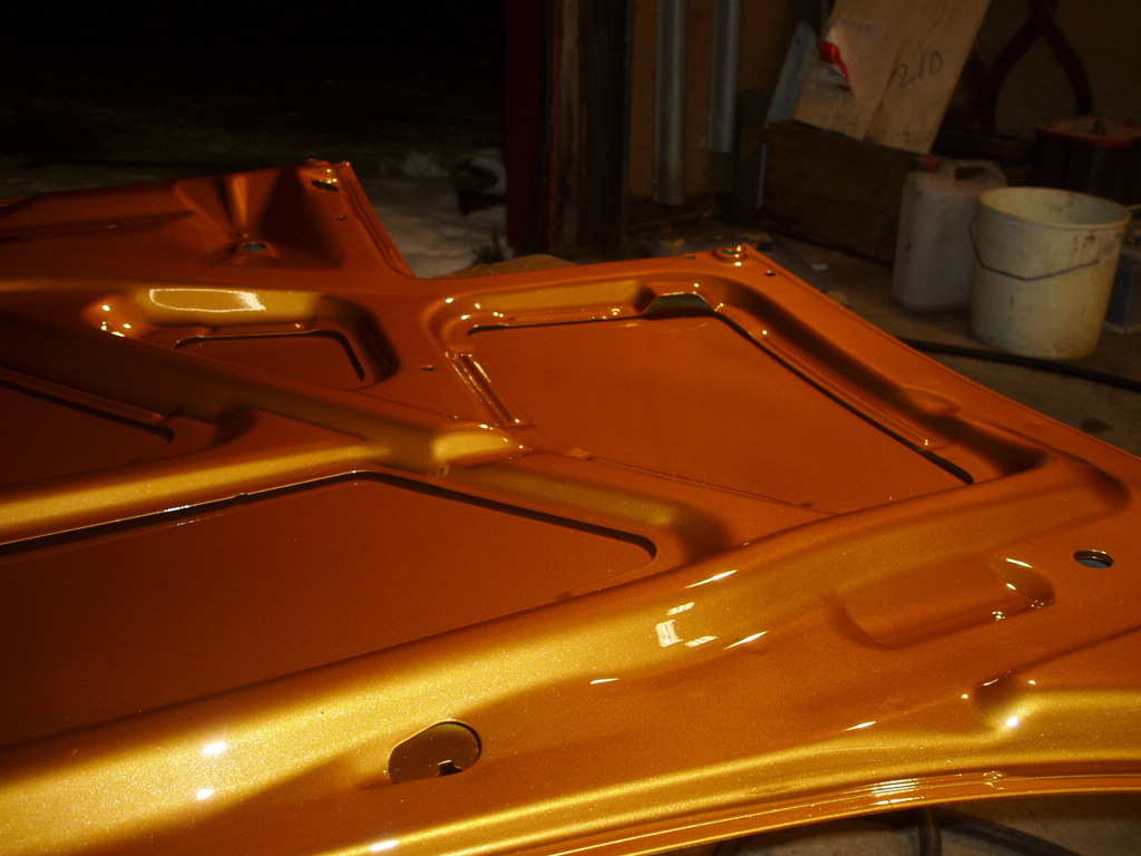 panser ferdig lakket..