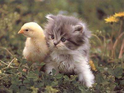 Hot_chick_with_nice_pussy.jpg