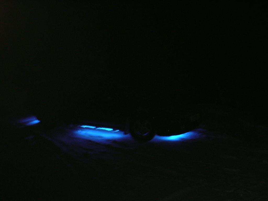 DSCN0069.jpg