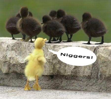 niggers_.jpg