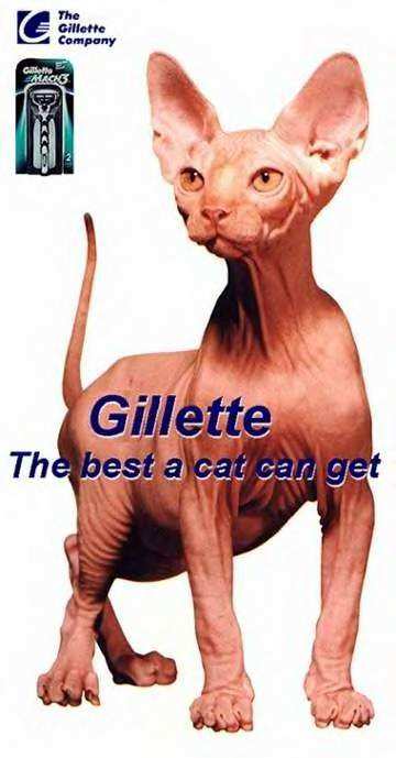 shaved_pussy.JPG