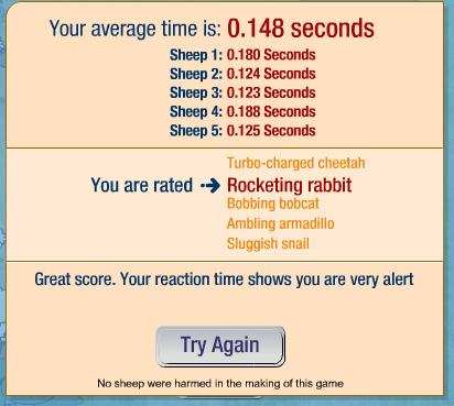sheep4.JPG