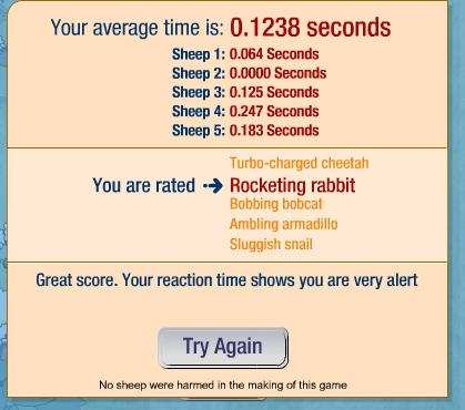 sheep5.JPG