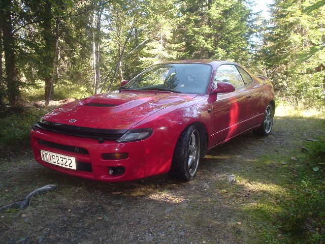 høst bilder 030.jpg