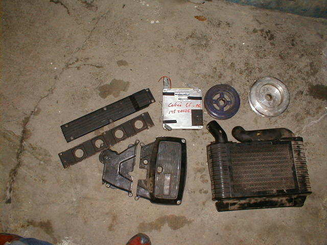 P1010008.jpg