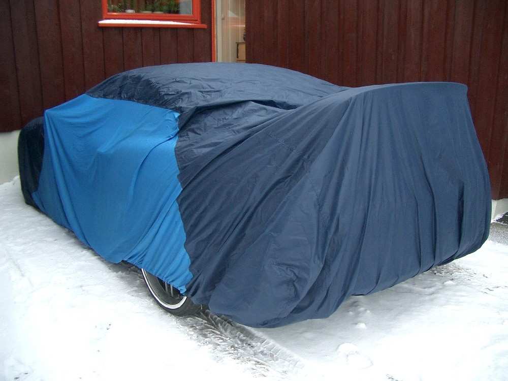 Are`s Supra i vinterdvale.jpg