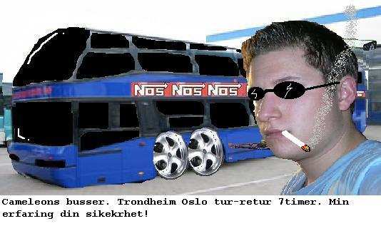 buss.jpg