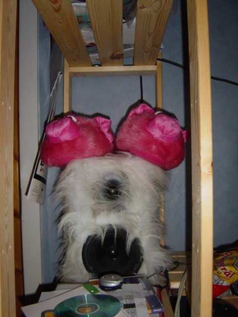 DSC01392.JPG