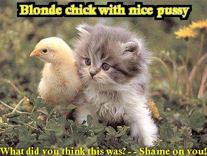 blonde_chick_with_nice_pussy.jpg