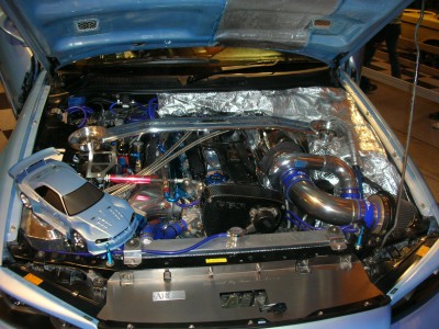 DSCN0851.JPG