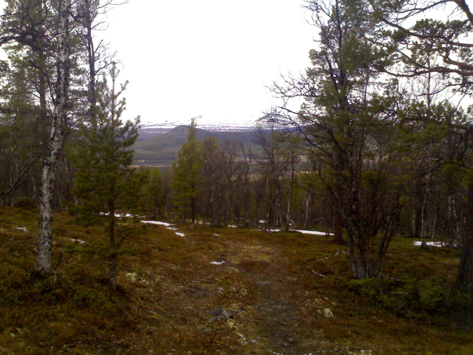 utsikt nå kjøretur.jpg