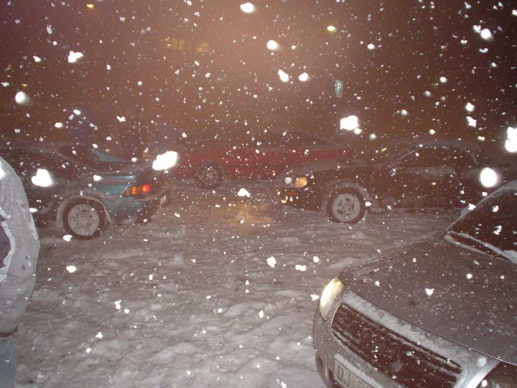 Dsc01162.jpg