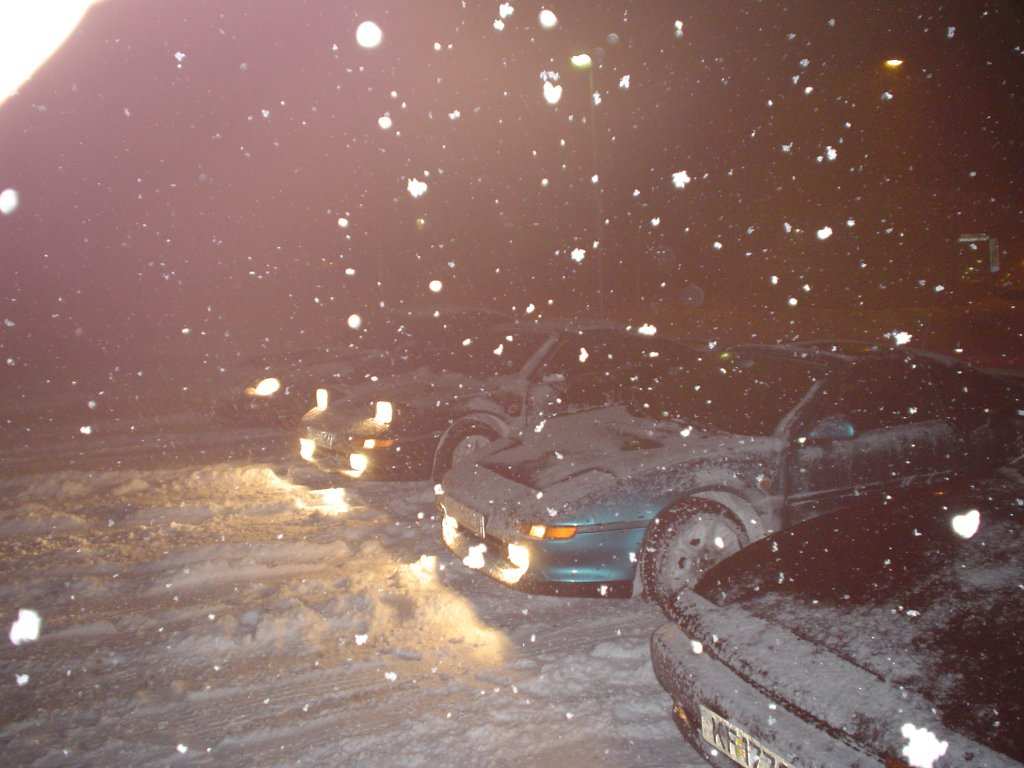 Dsc01148.jpg