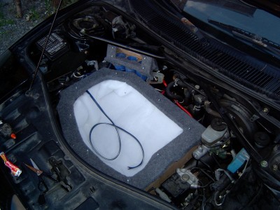 bunn2.JPG