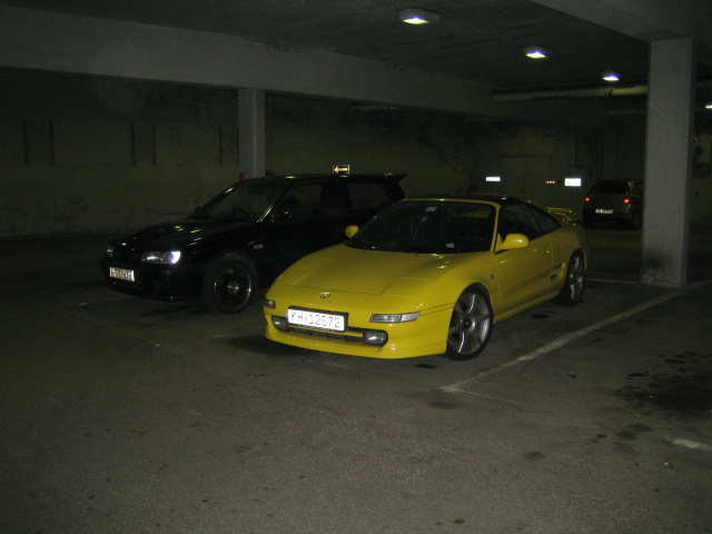 I godt selskap av hverandre (Morten og Rage)