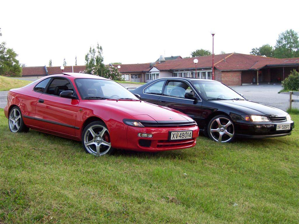 100_0092 (Large).JPG