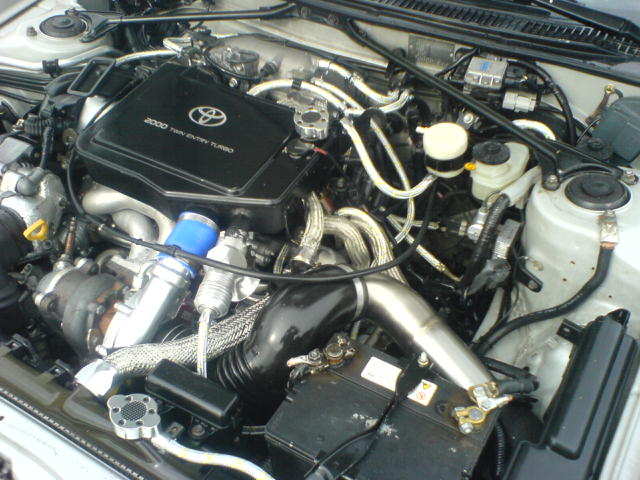 DSC00419.JPG