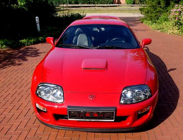 Supra rot 6 Gg 2 front oben.jpg
