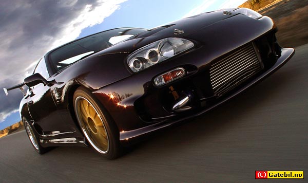tommy_supra_2.jpg