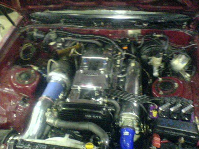 DSC00655.JPG