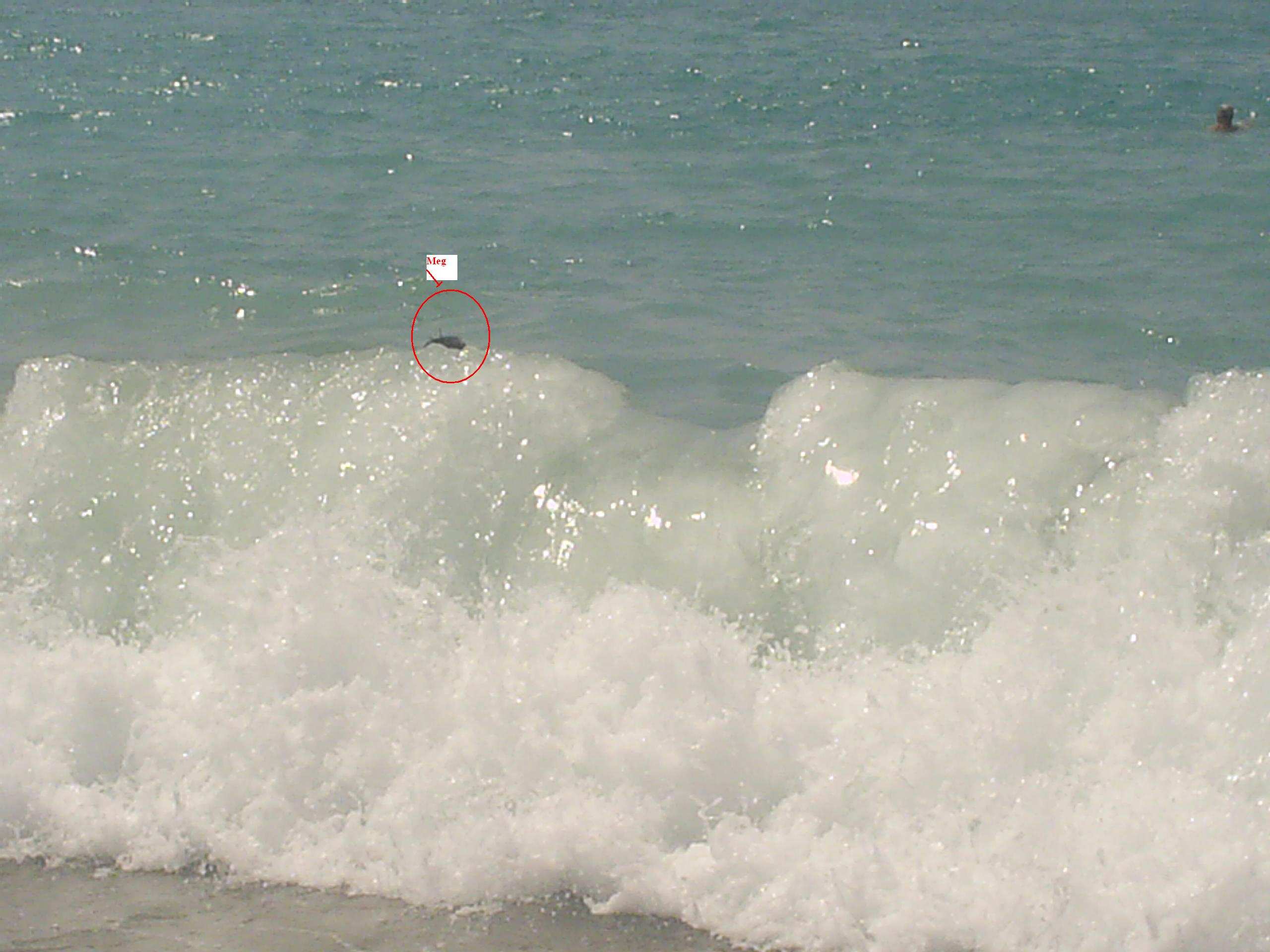 litt høye bølger gitt