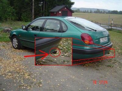 corollan.JPG