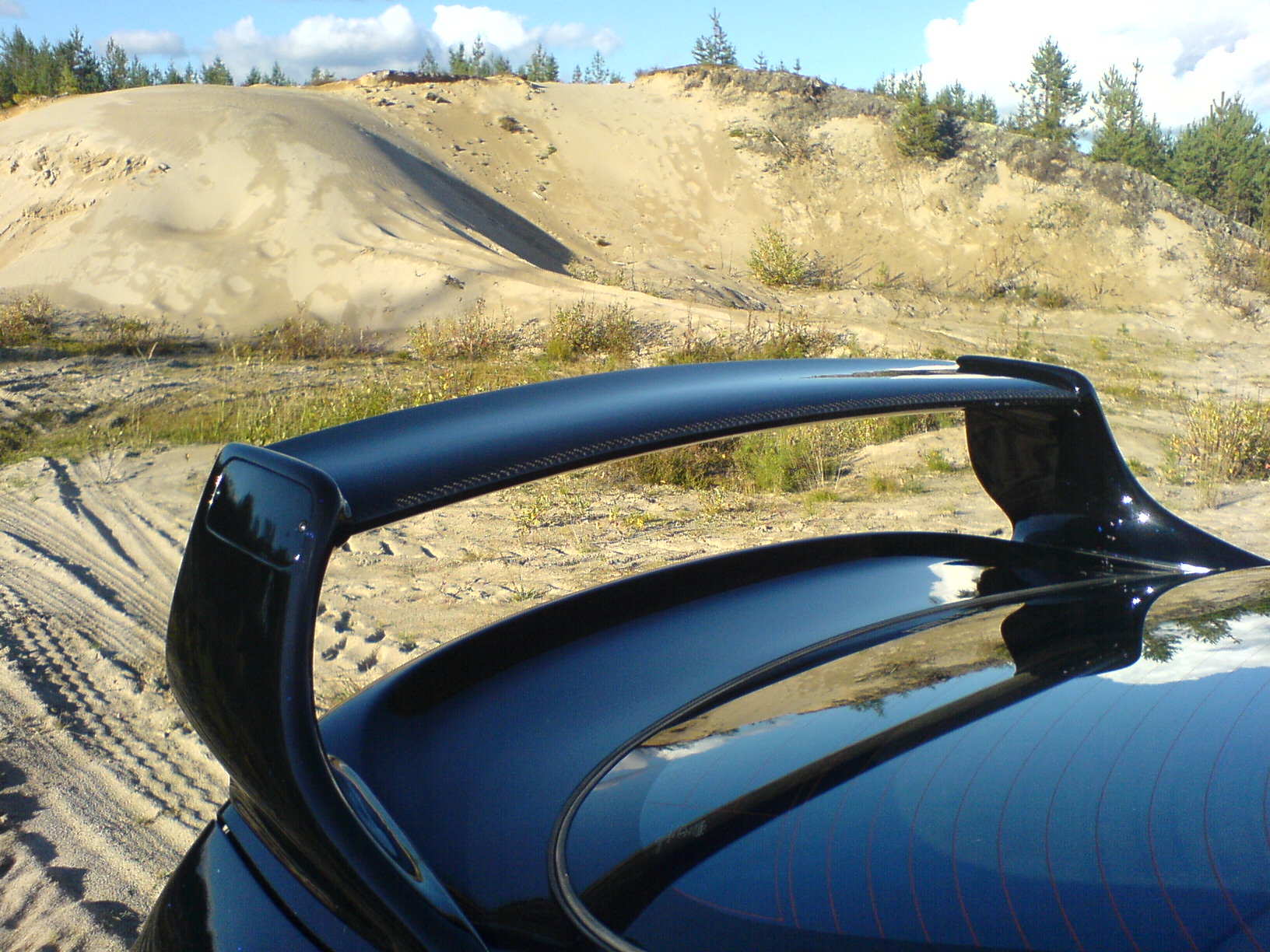 Min med vinge II 004.jpg