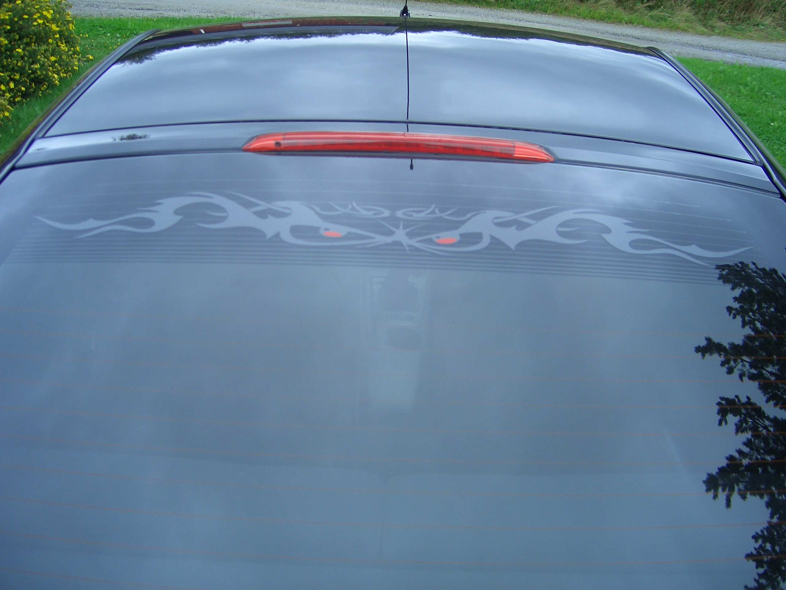 Celica`n min 030.jpg